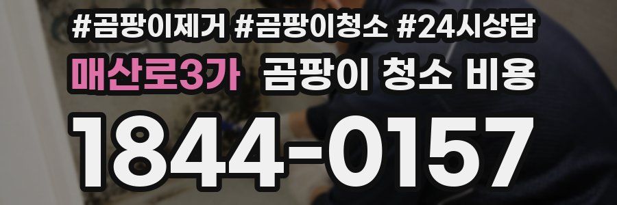 매산로3가 곰팡이 청소 비용