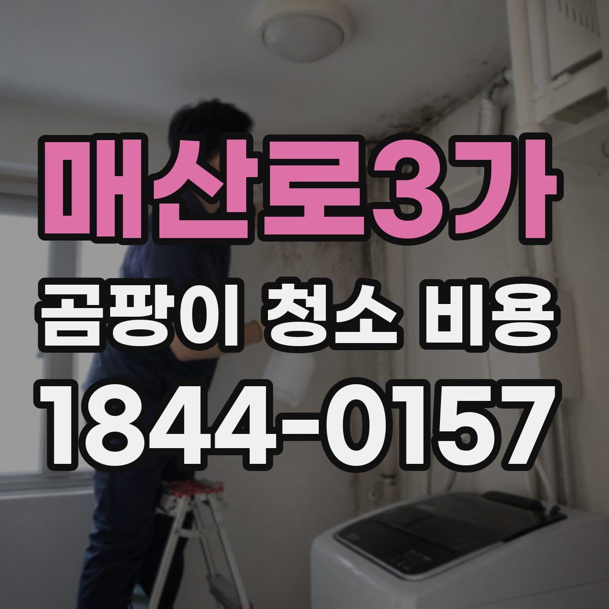 매산로3가 곰팡이 청소 비용