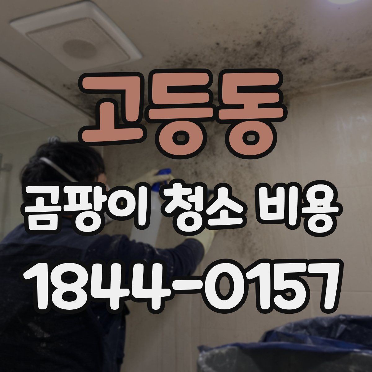 고등동 곰팡이 청소 비용 욕실 오염 범위가 넓을 때 기준