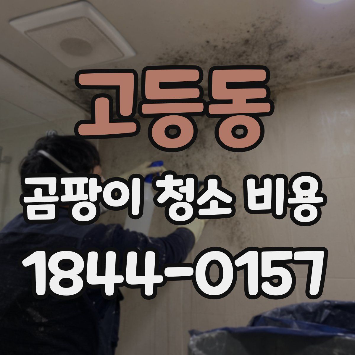 고등동 곰팡이 청소 비용