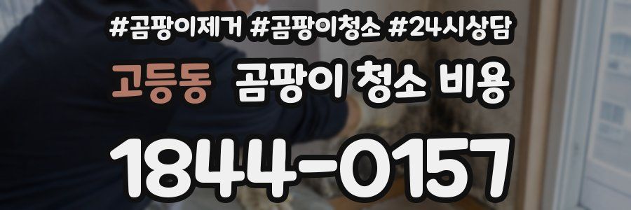 고등동 곰팡이 청소 비용