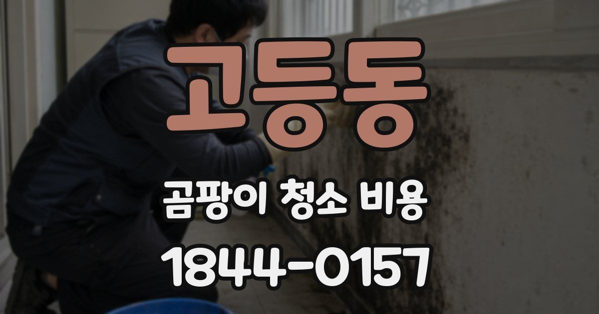 고등동 곰팡이 청소 비용