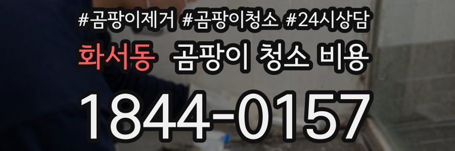 화서동 곰팡이 청소 비용