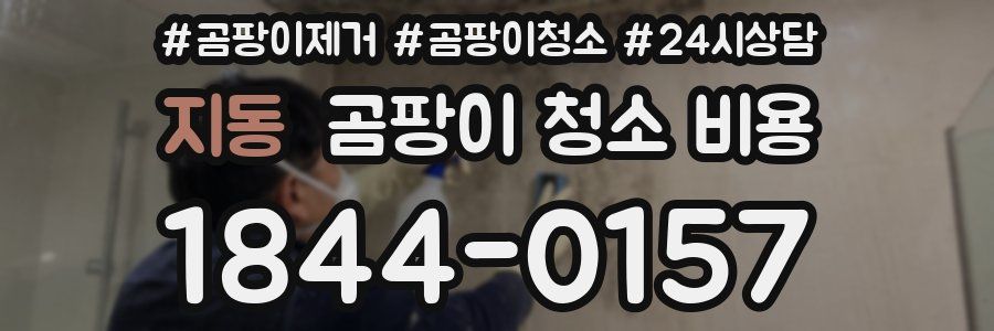 지동 곰팡이 청소 비용
