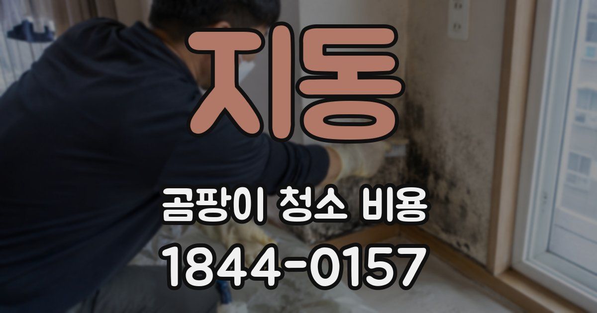 지동 곰팡이 청소 비용