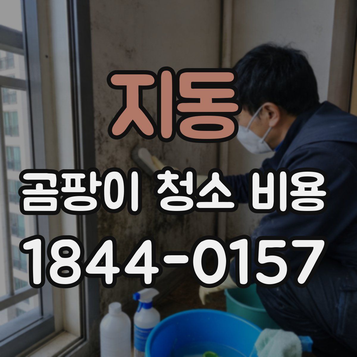 지동 곰팡이 청소 비용