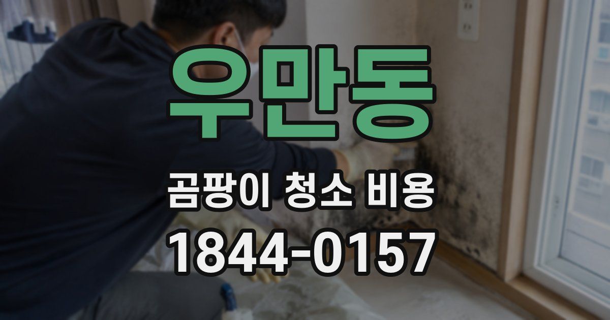 우만동 곰팡이 청소 비용