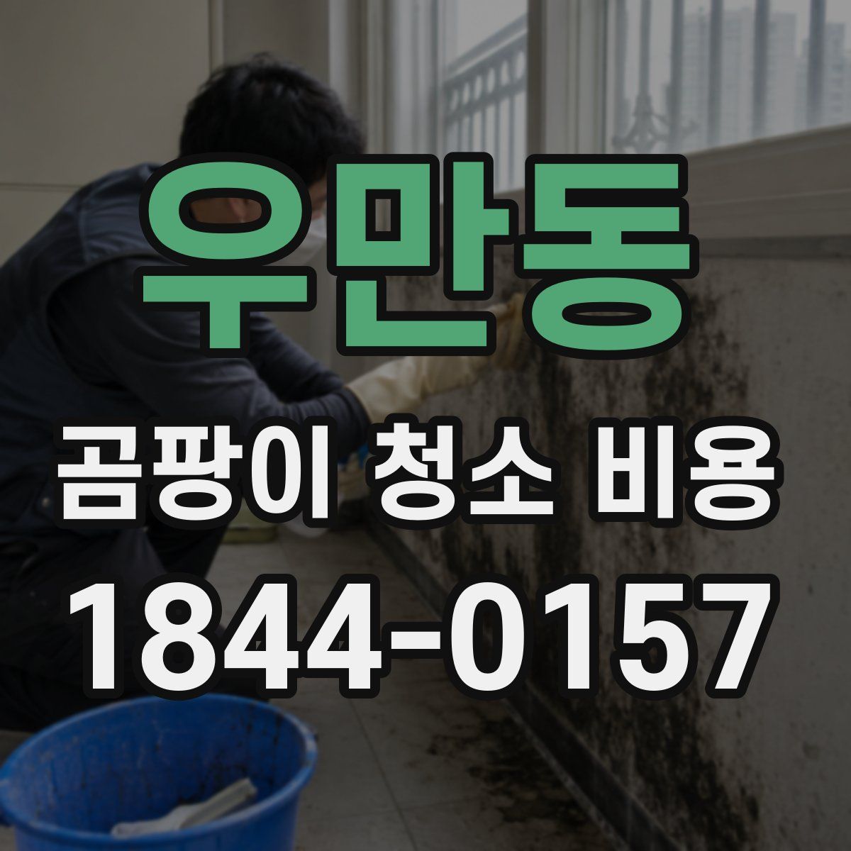 우만동 곰팡이 청소 비용