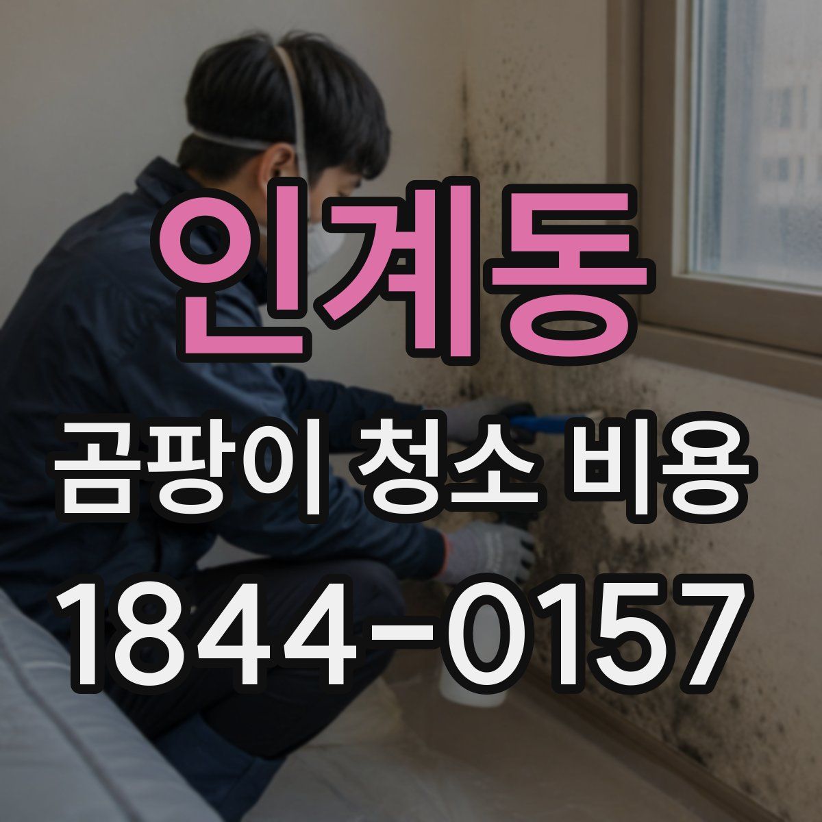인계동 곰팡이 청소 비용