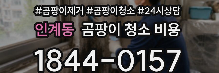 인계동 곰팡이 청소 비용