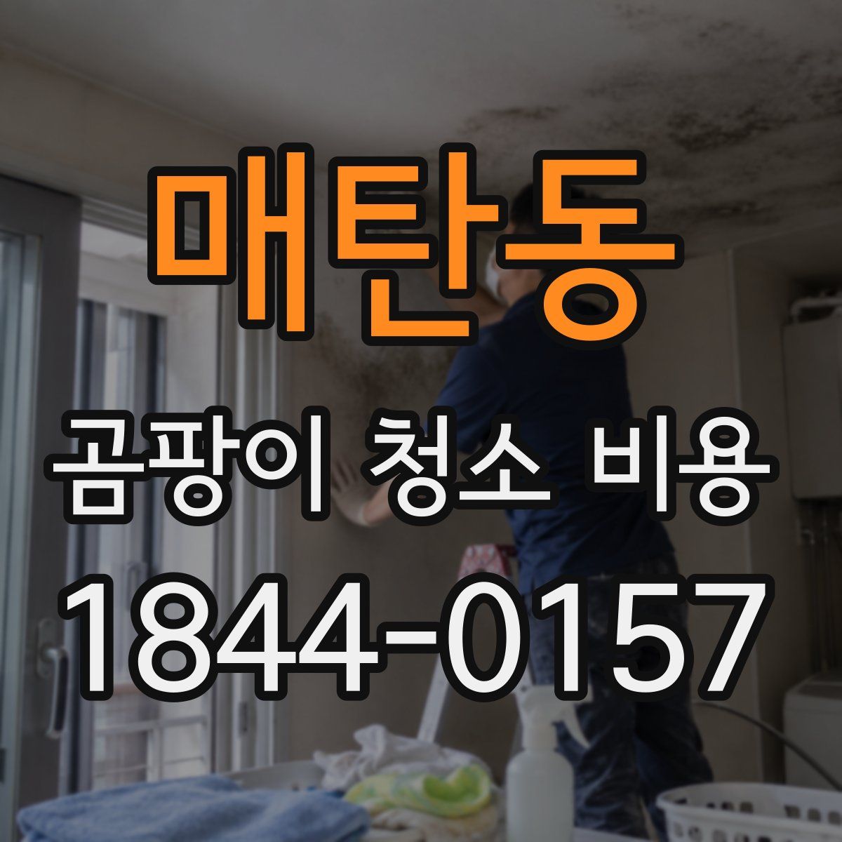 매탄동 곰팡이 청소 비용