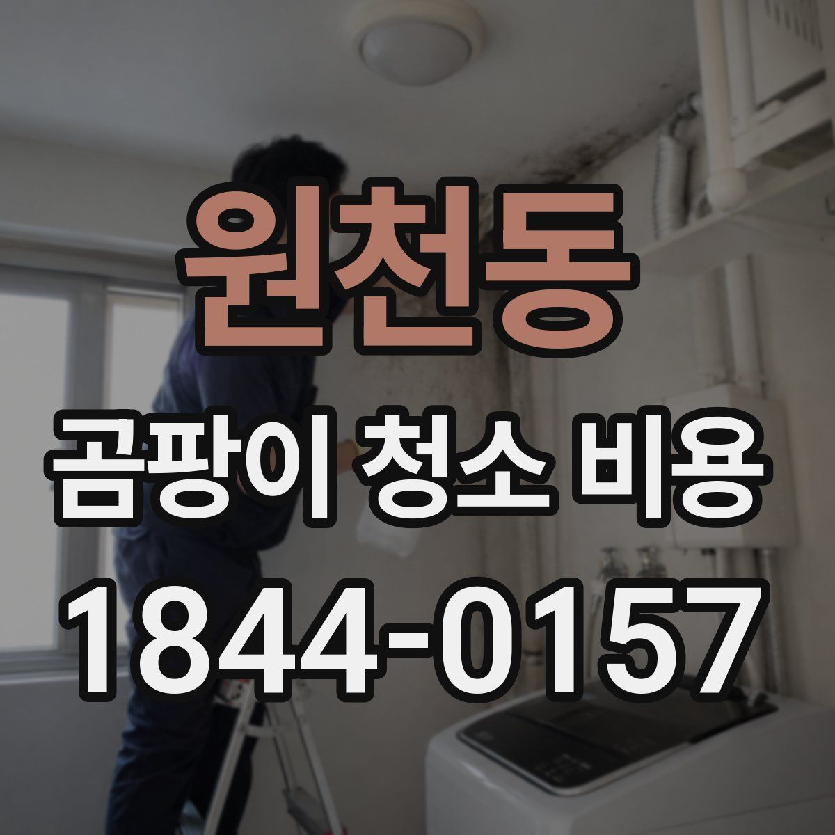 원천동 곰팡이 청소 비용