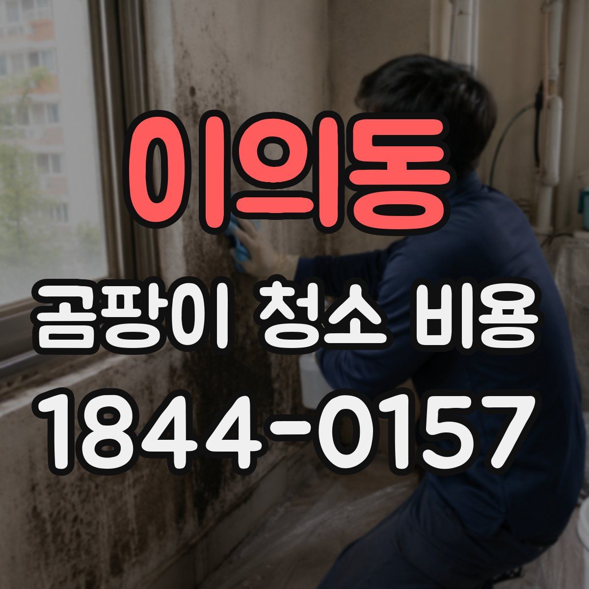 이의동 곰팡이 청소 비용
