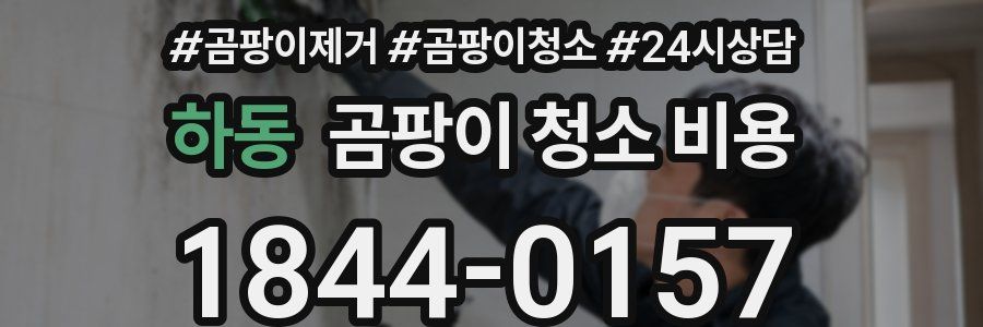 하동 곰팡이 청소 비용