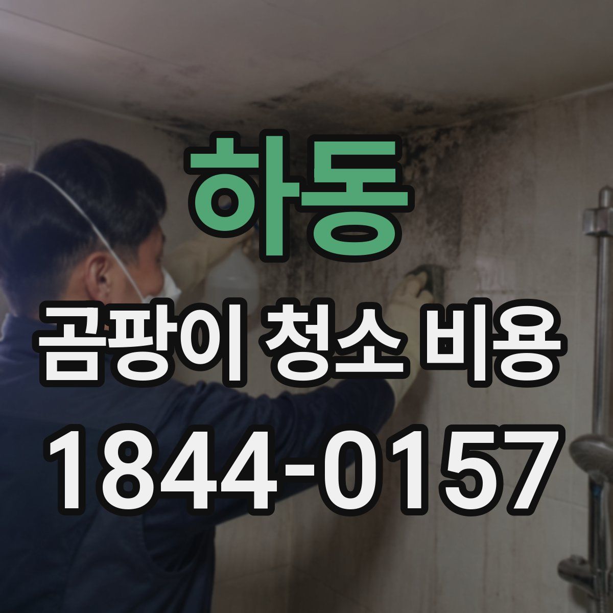 하동 곰팡이 청소 비용