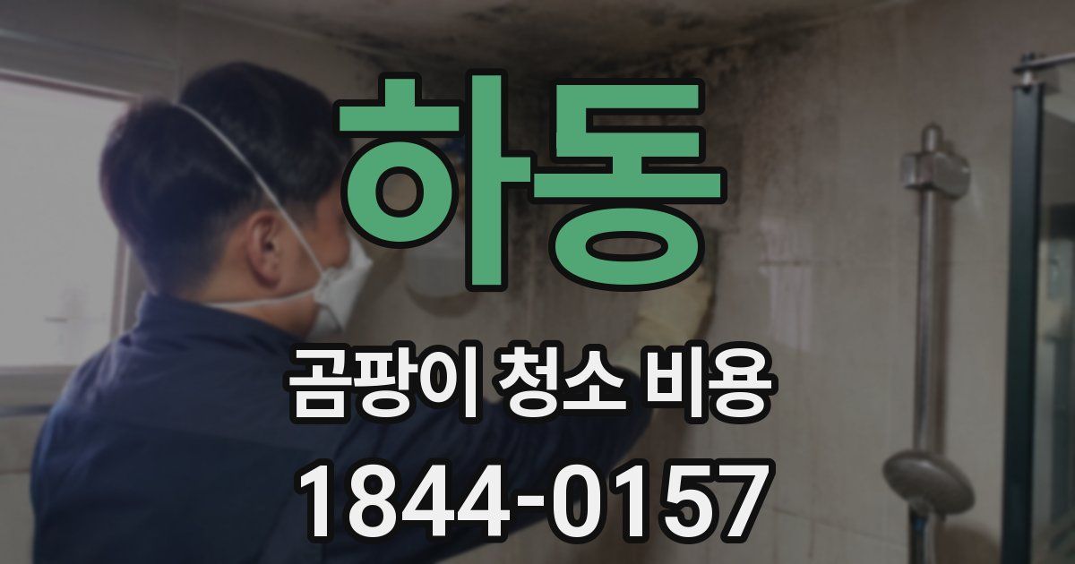 하동 곰팡이 청소 비용