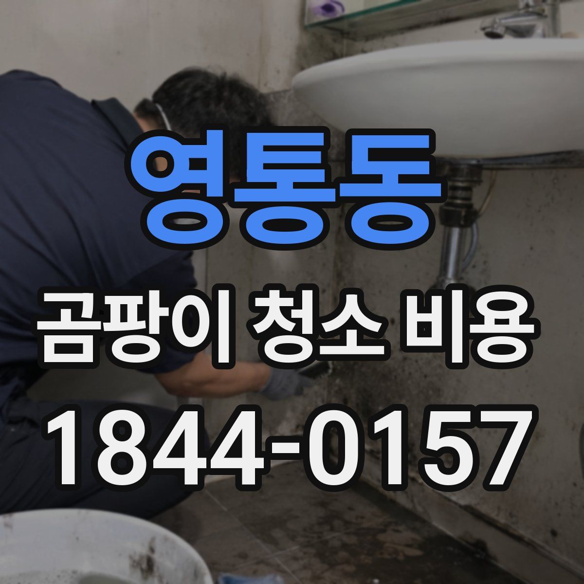 영통동 곰팡이 청소 비용