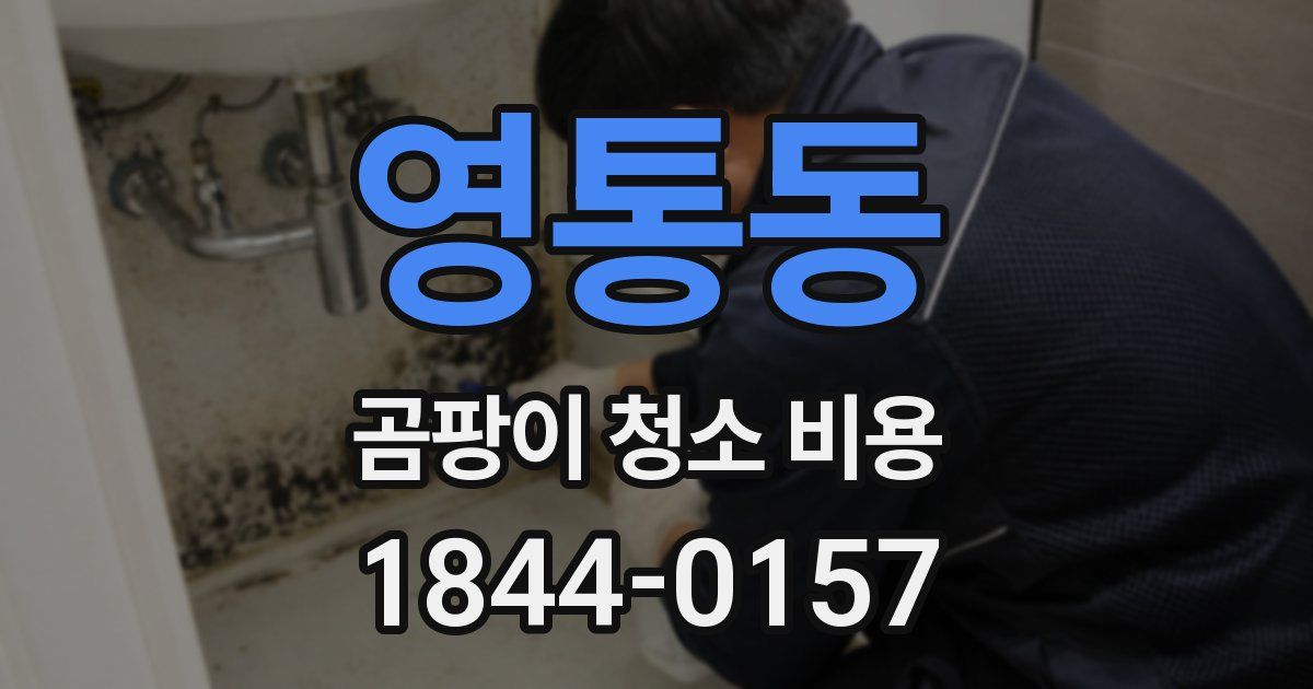 영통동 곰팡이 청소 비용