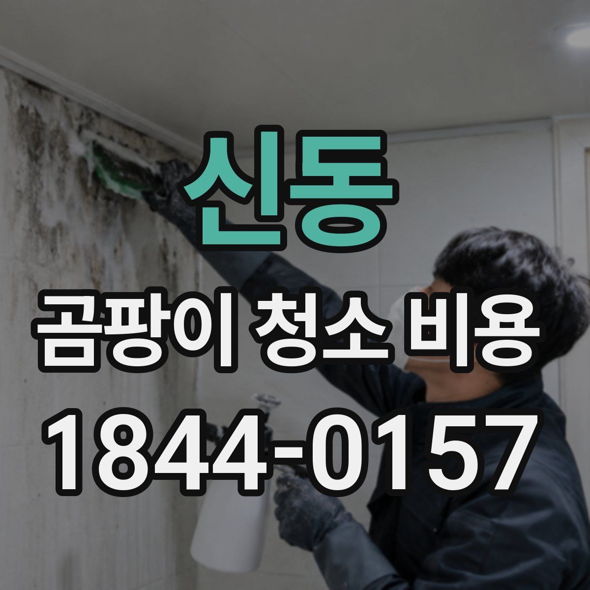 신동 곰팡이 청소 비용
