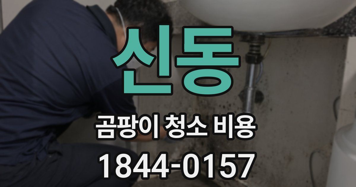신동 곰팡이 청소 비용