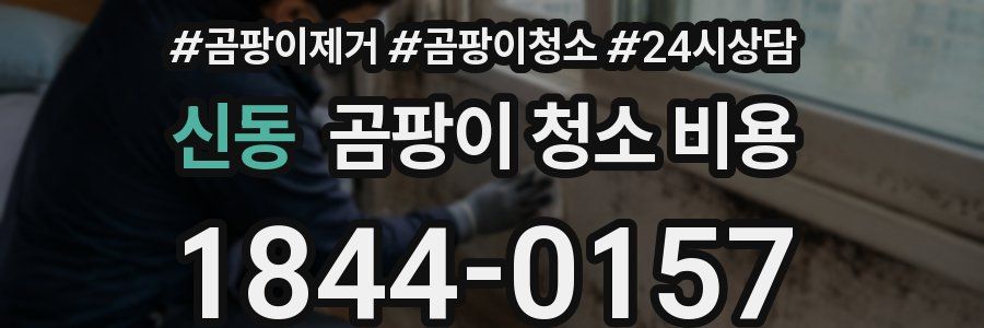 신동 곰팡이 청소 비용