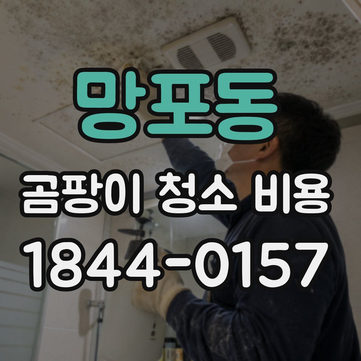 망포동 곰팡이 청소 비용