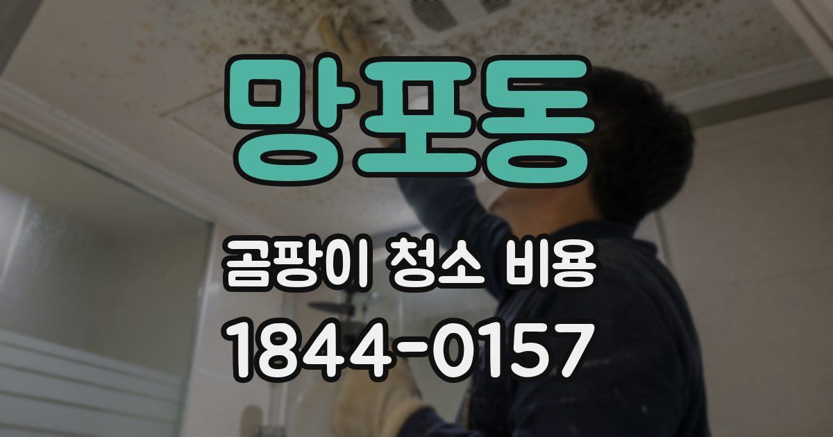 망포동 곰팡이 청소 비용