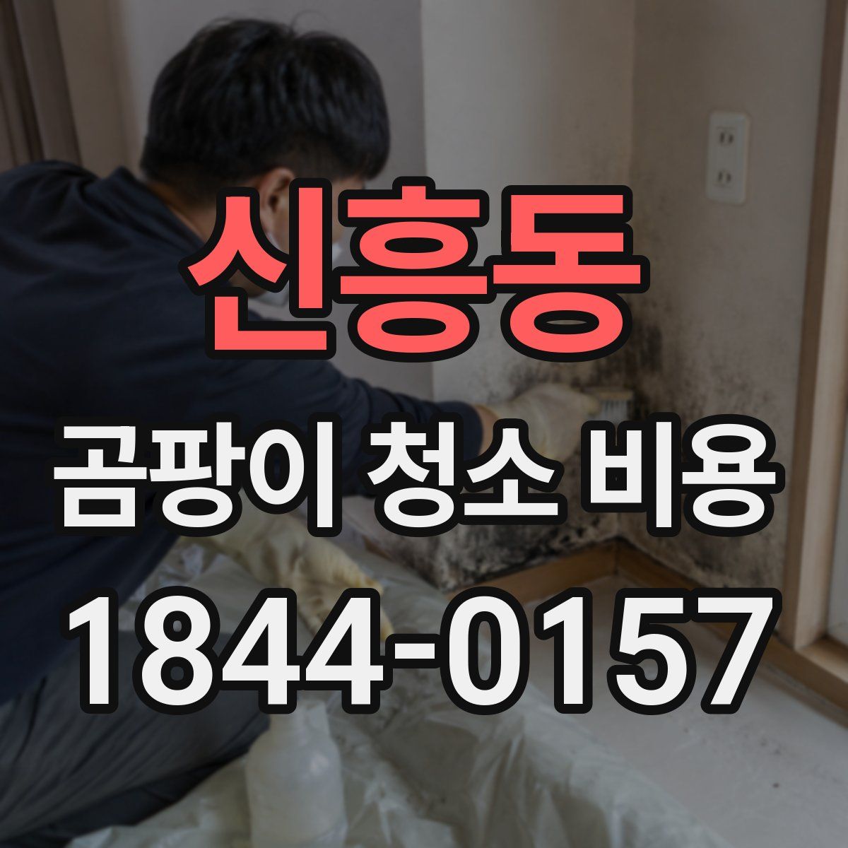 신흥동 곰팡이 청소 비용