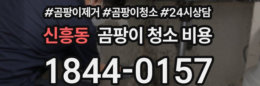 신흥동 곰팡이 청소 비용