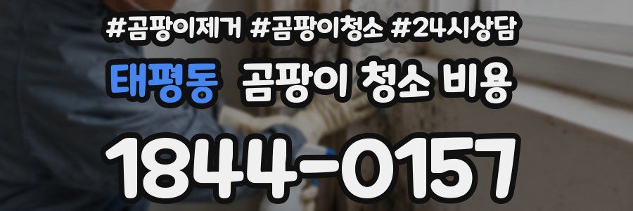 태평동 곰팡이 청소 비용