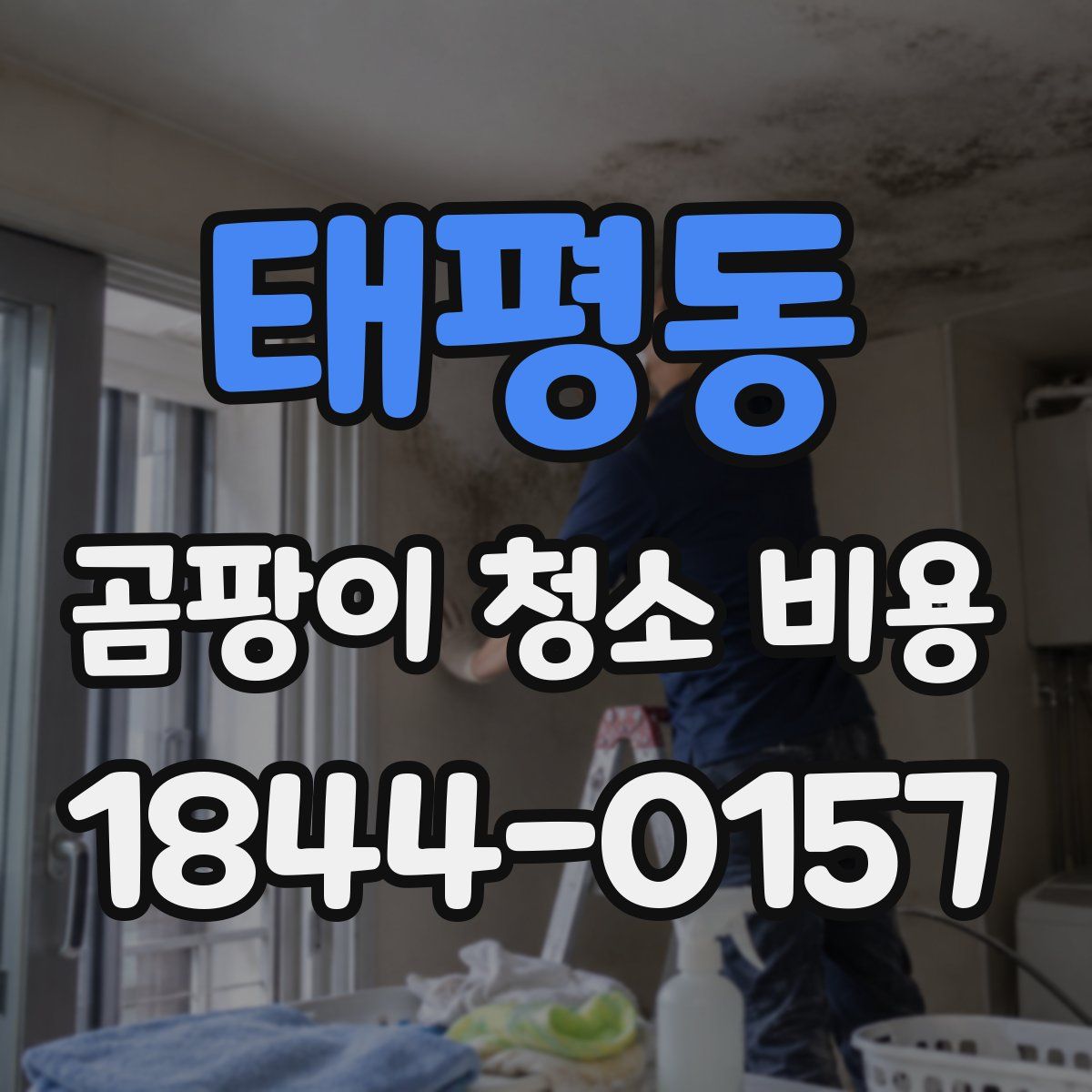 태평동 곰팡이 청소 비용