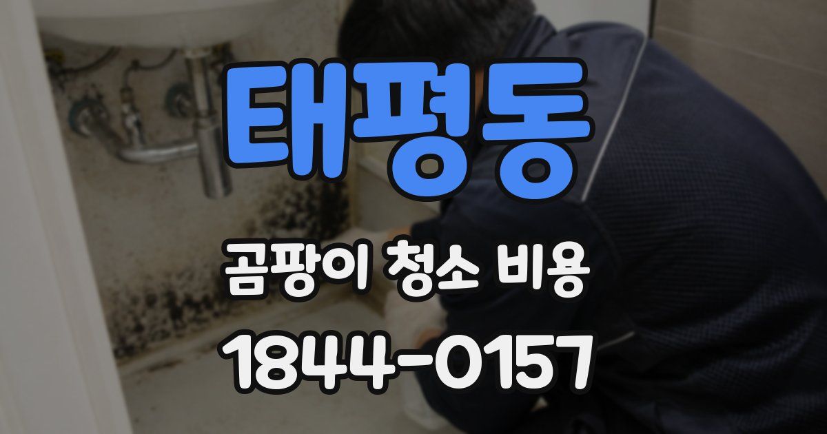 태평동 곰팡이 청소 비용