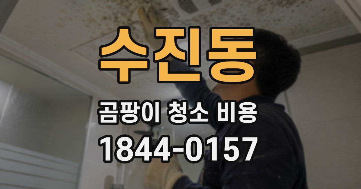 수진동 곰팡이 청소 비용
