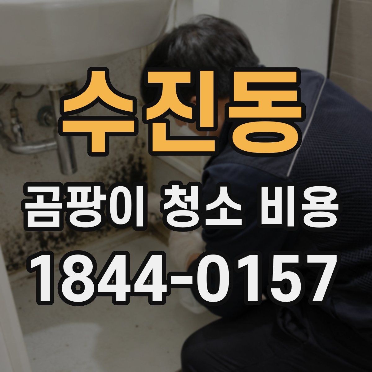 수진동 곰팡이 청소 비용
