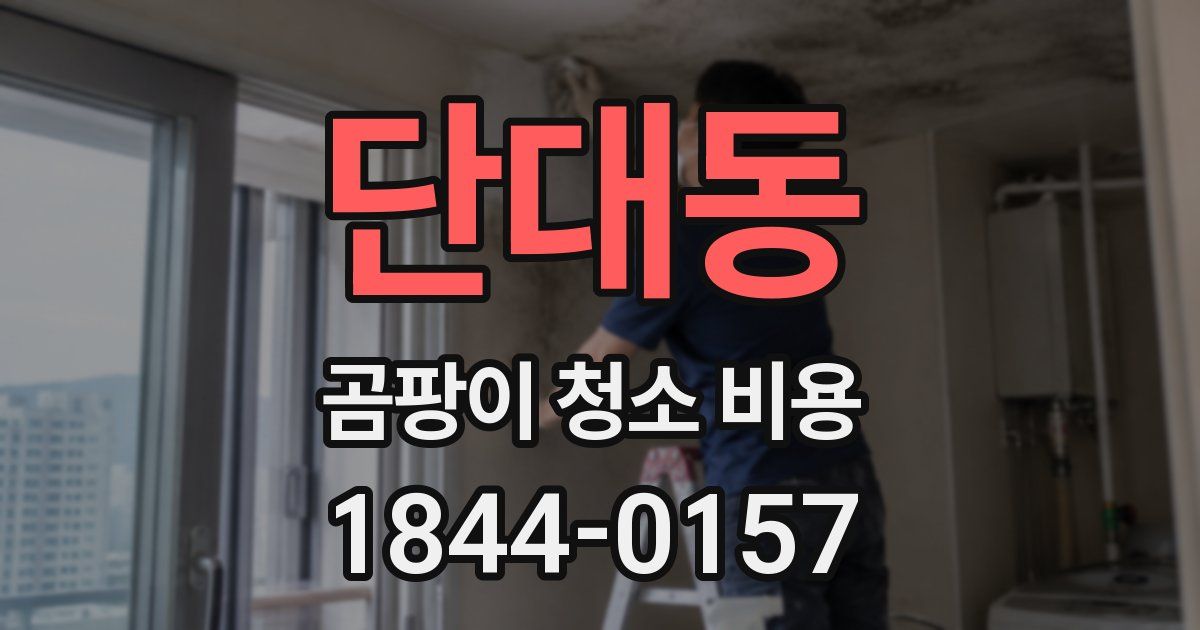 단대동 곰팡이 청소 비용