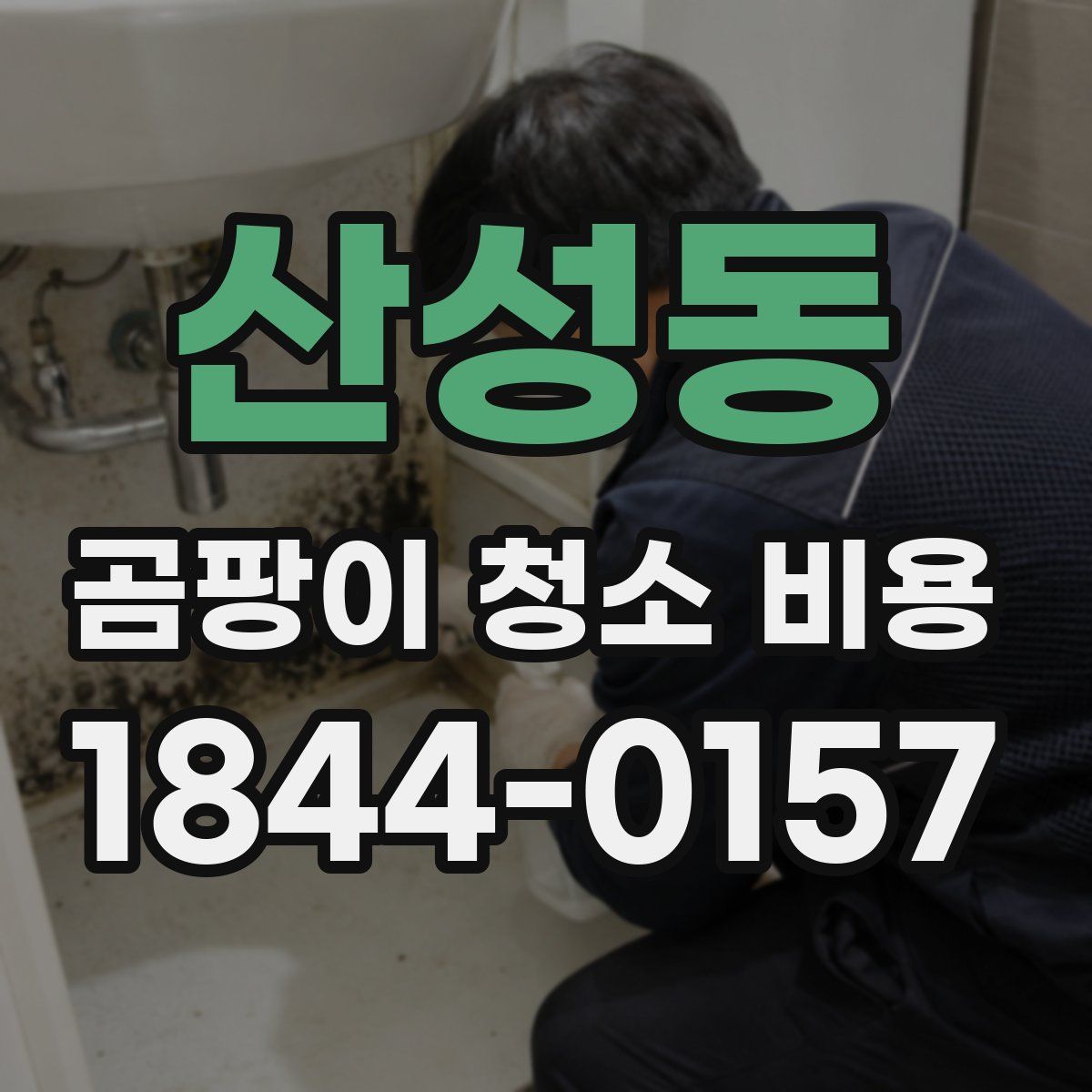 산성동 곰팡이 청소 비용