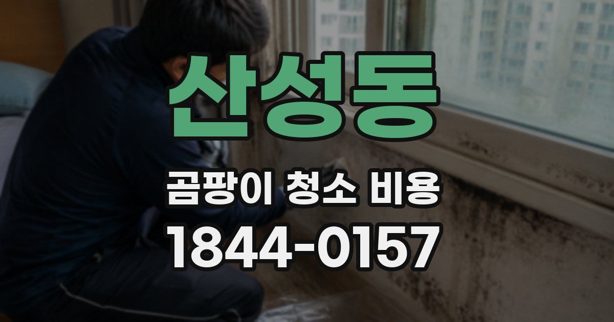 산성동 곰팡이 청소 비용