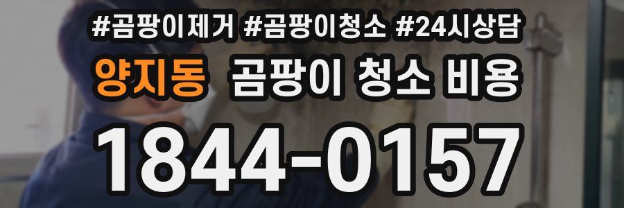 양지동 곰팡이 청소 비용