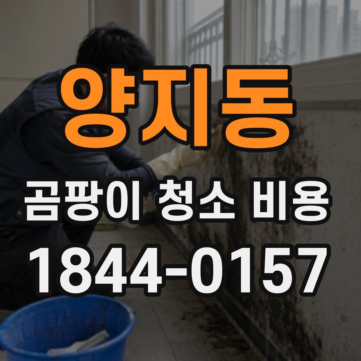양지동 곰팡이 청소 비용