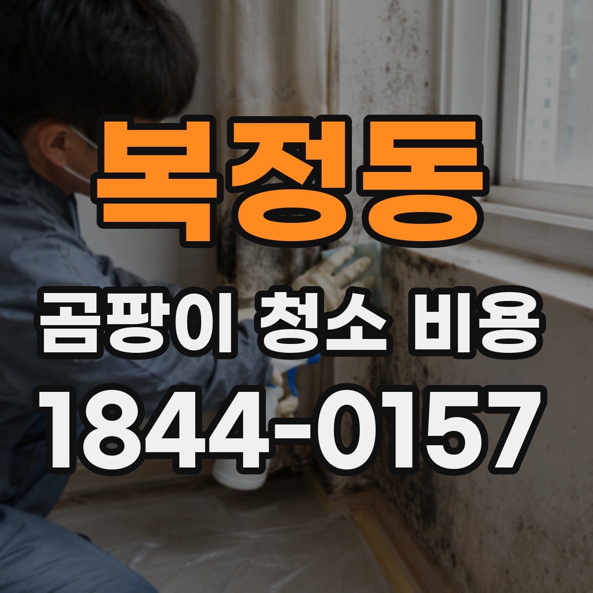 복정동 곰팡이 청소 비용