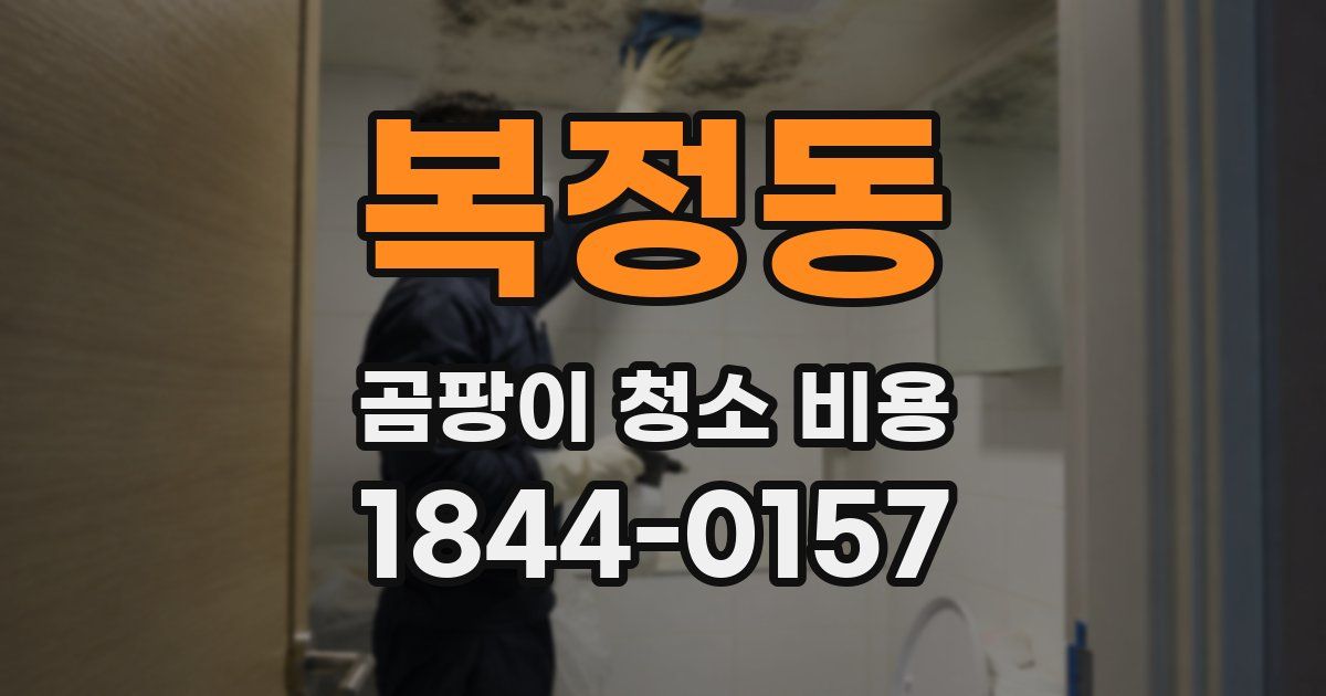 복정동 곰팡이 청소 비용