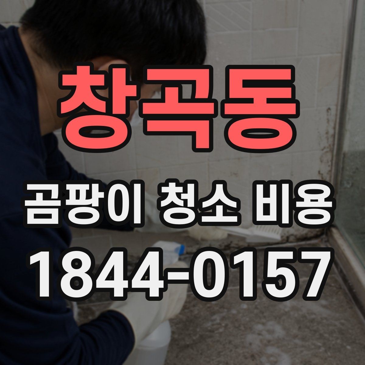 창곡동 곰팡이 청소 비용 약품 농도와 작업 시간 기준