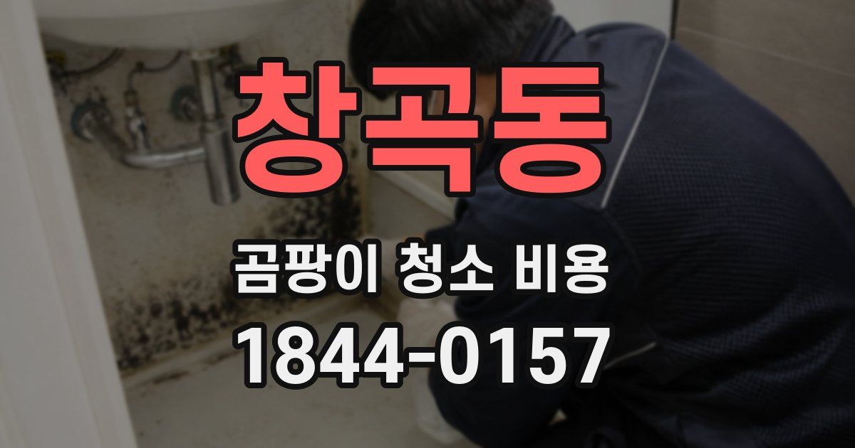 창곡동 곰팡이 청소 비용