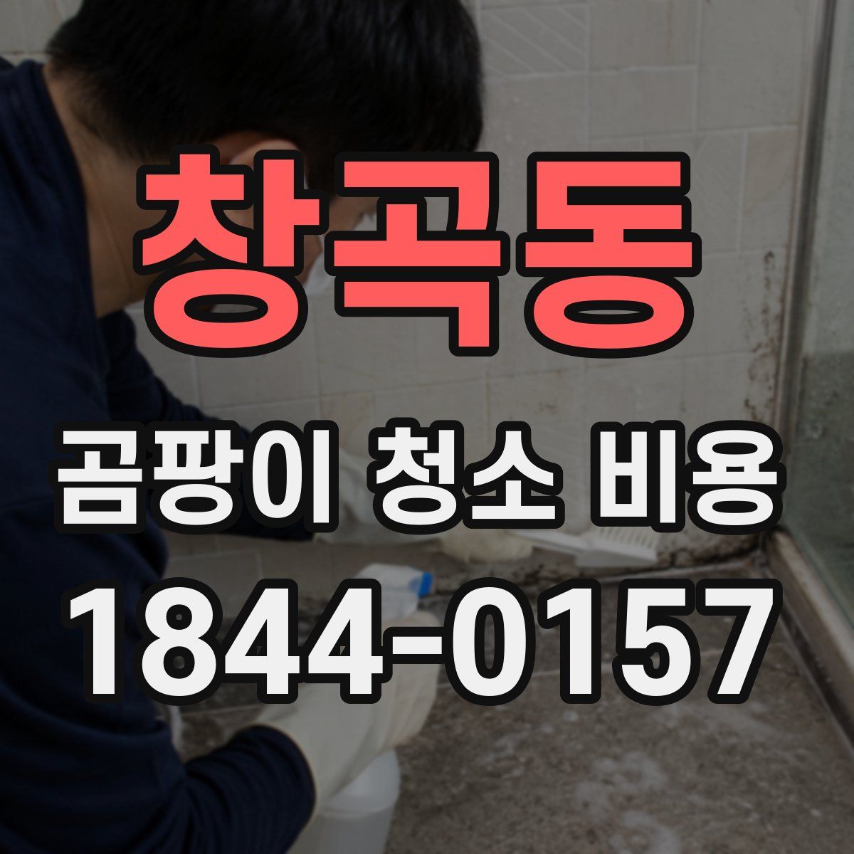 창곡동 곰팡이 청소 비용