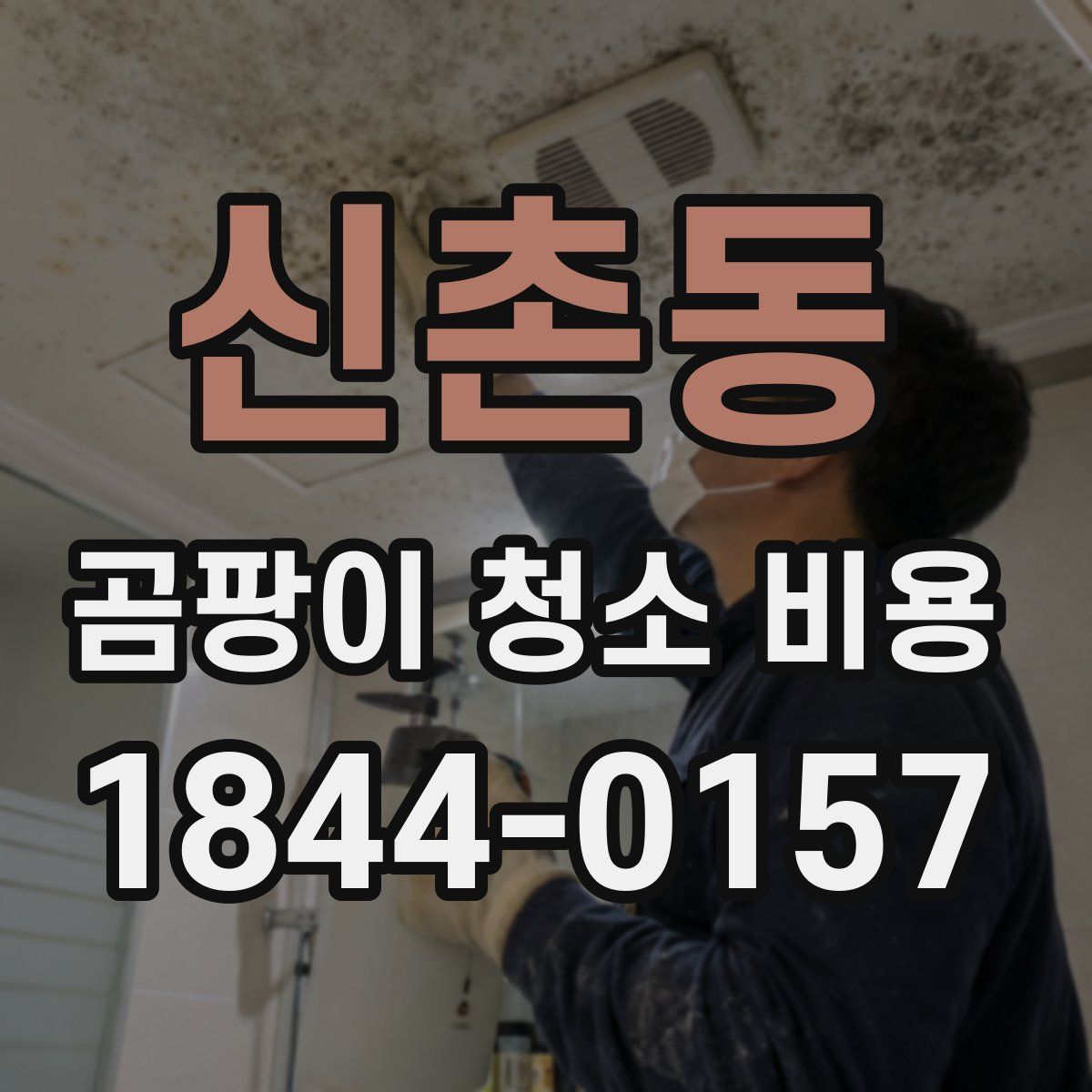 신촌동 곰팡이 청소 비용