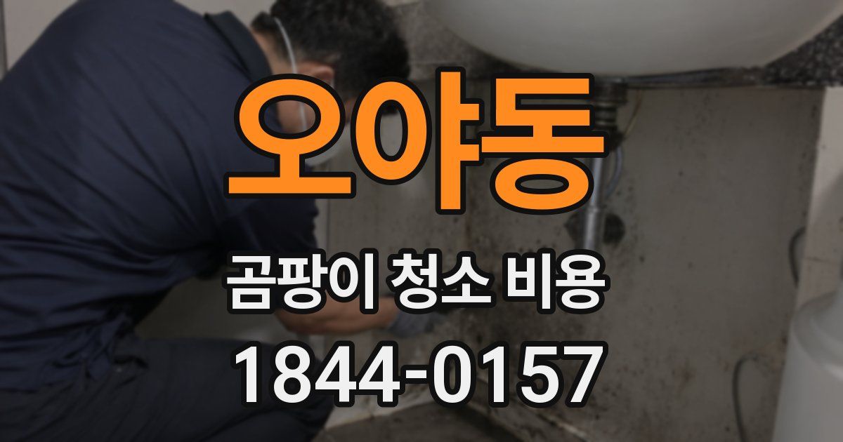 오야동 곰팡이 청소 비용