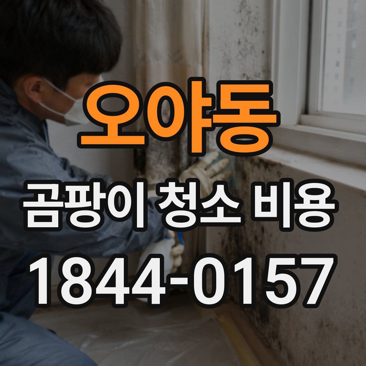 오야동 곰팡이 청소 비용