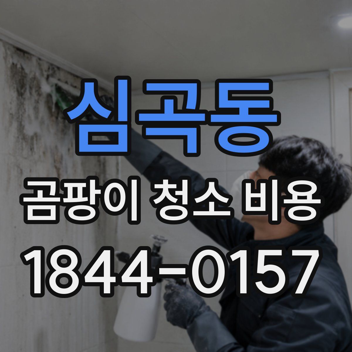 심곡동 곰팡이 청소 비용
