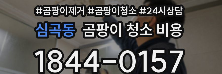 심곡동 곰팡이 청소 비용