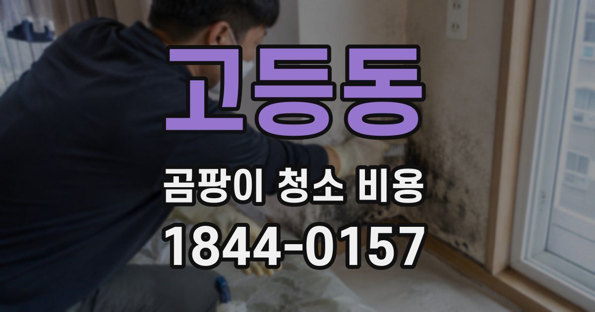 고등동 곰팡이 청소 비용